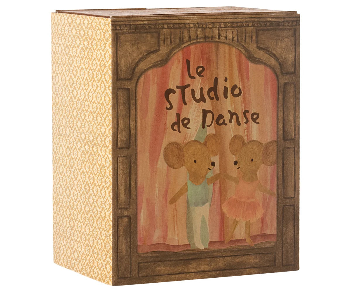 Ballet Mice In Dance Studio | Little Sister and Brother