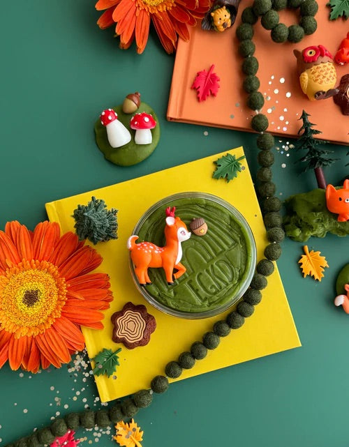 KidDough Play Kit | Forest Friends