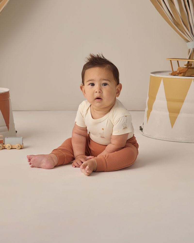 Short Sleeve Bodysuit Pack | Carnival/Honey Stripe