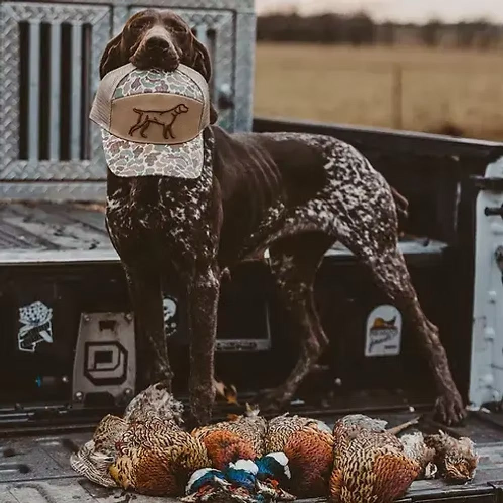 7 Panel 3D Puff Hat | Camo