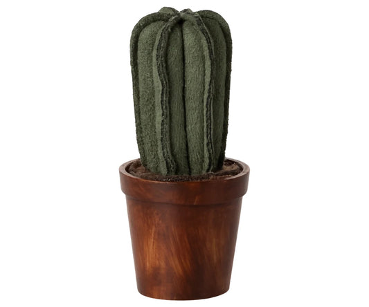 Flower Pot with Cactus