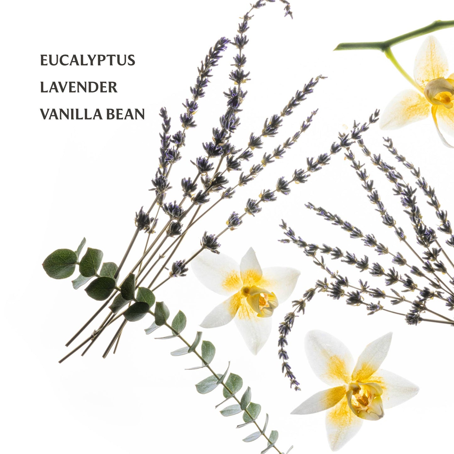 Power Mist Hydrating Hand Sanitizer | Pure Lavender