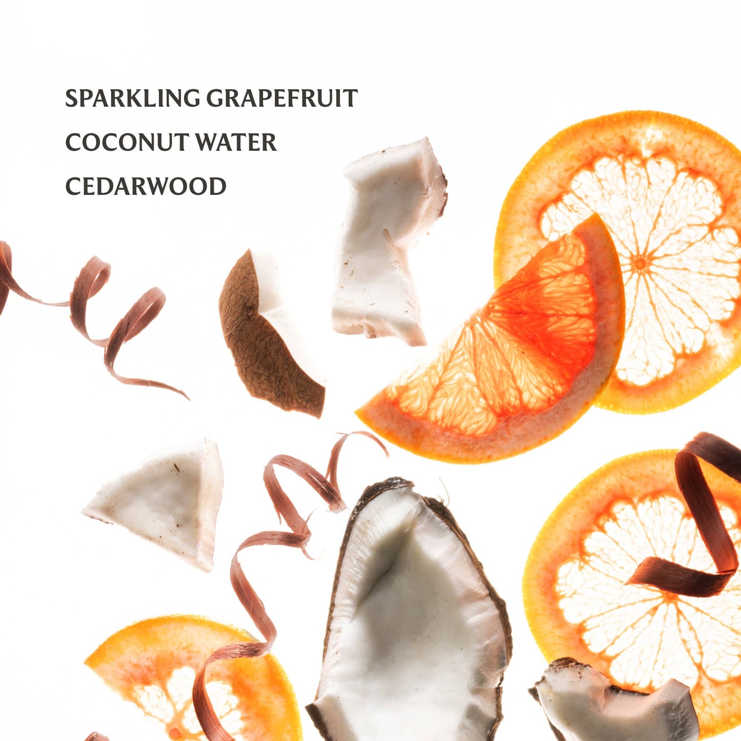 Power Mist Hydrating Hand Sanitizer | Beach Coco