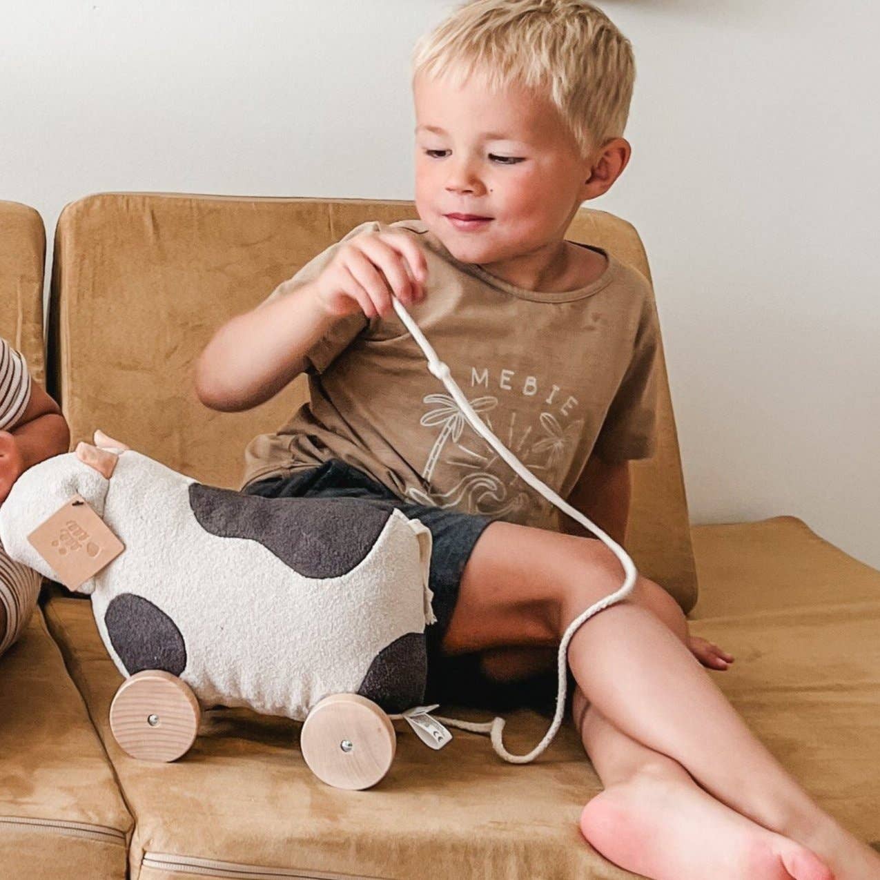 Pull-Along Toy | Willow