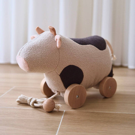 Pull-Along Toy | Willow