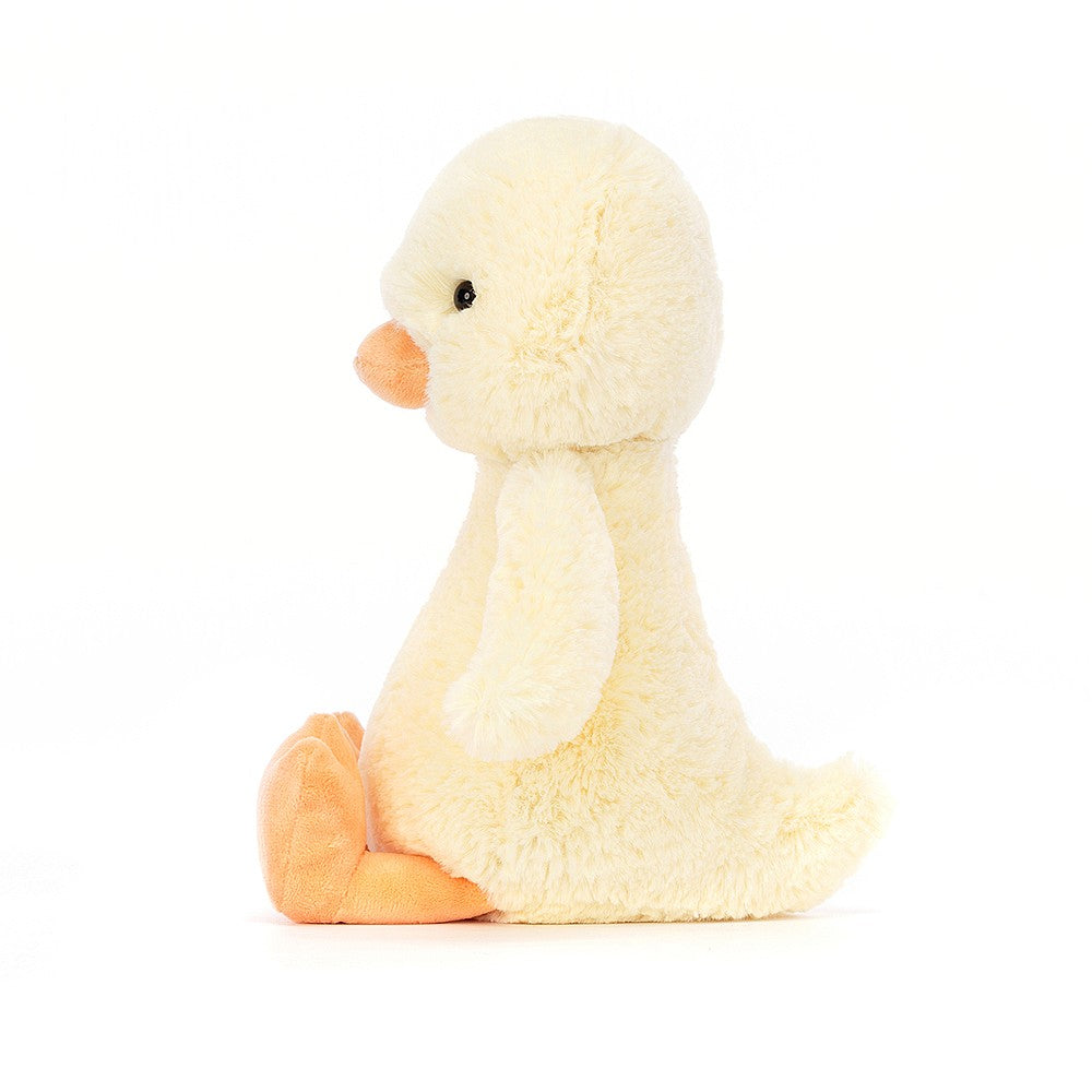 Bashful Duck