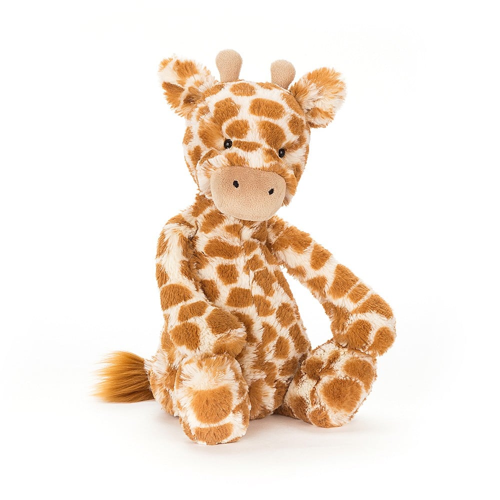 Bashful Giraffe Orignial