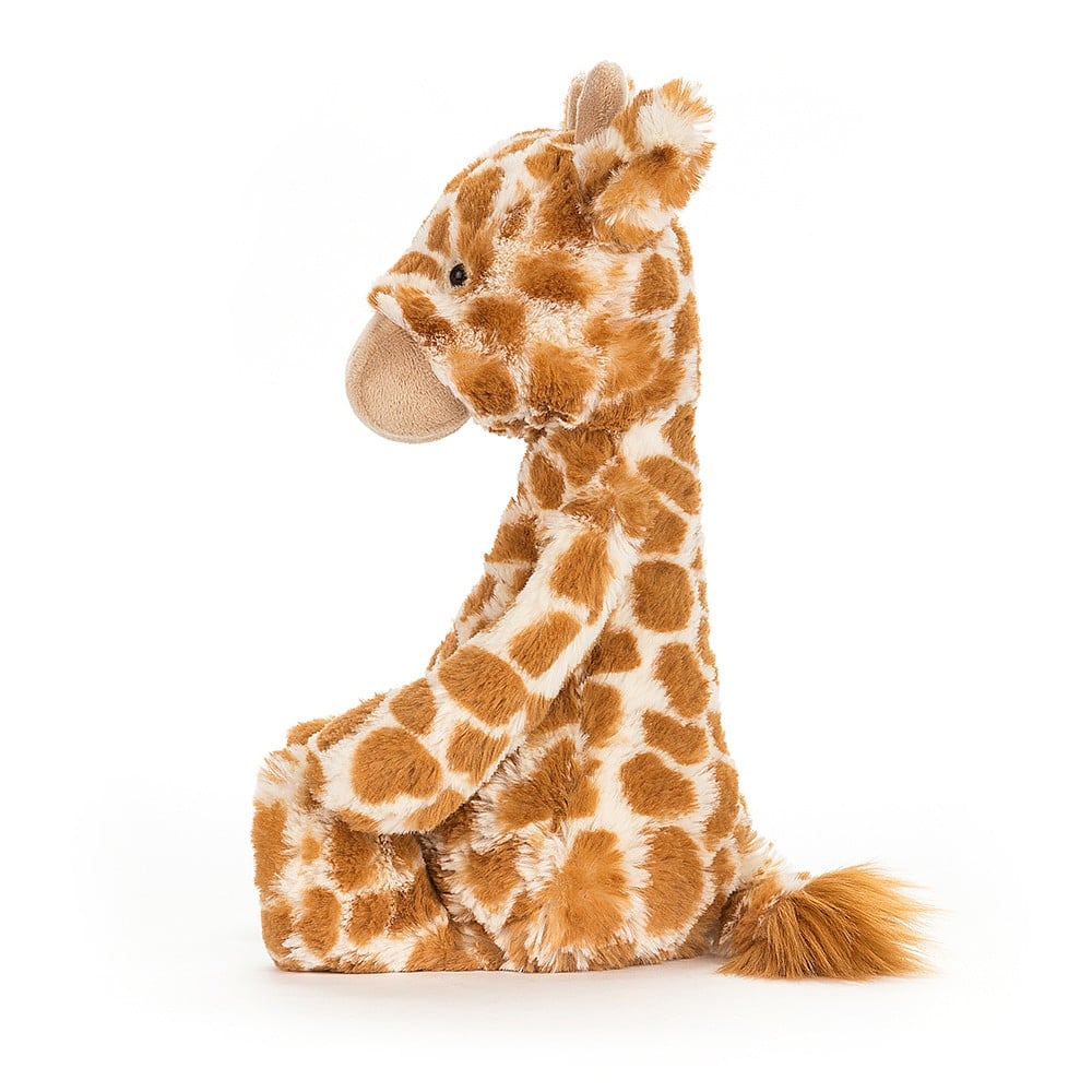 Bashful Giraffe Orignial