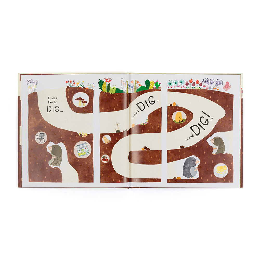 Mussel Mole and the Buried Treasure Book