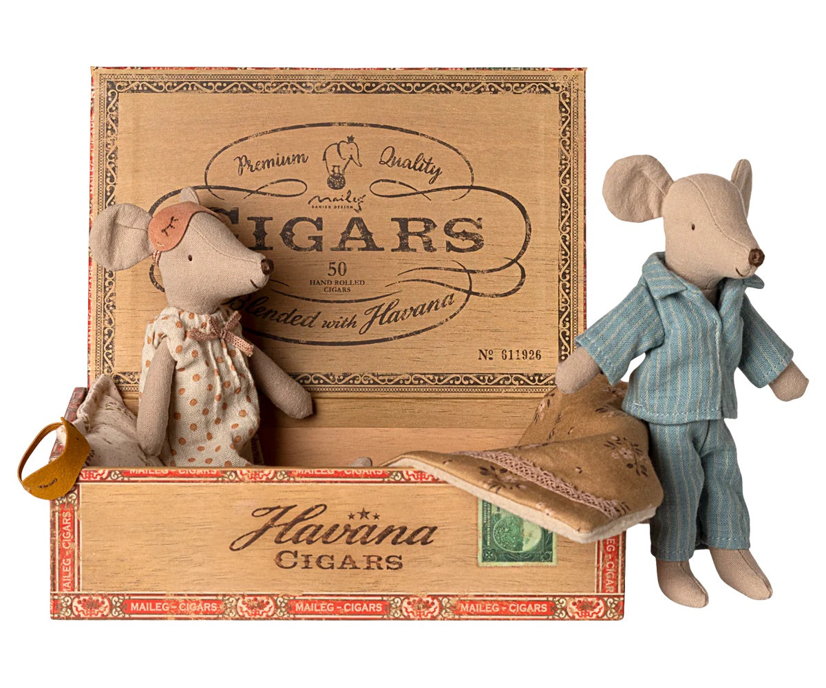 Mice In Cigarbox | Mum & Dad