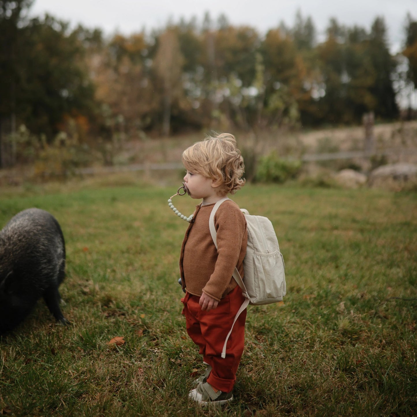 Silicone Pacifier Clip | Sage