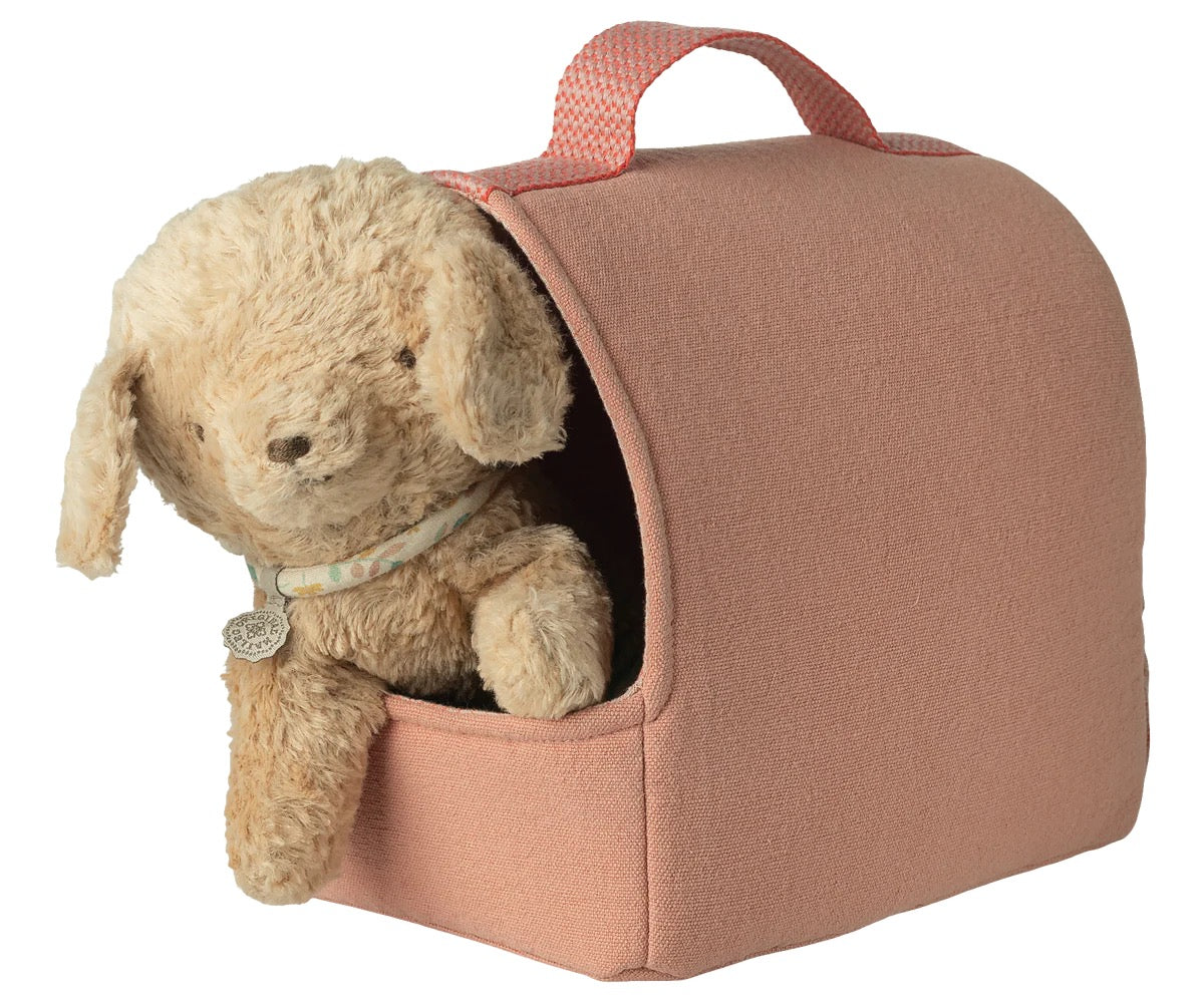 Pet Carrier | Coral