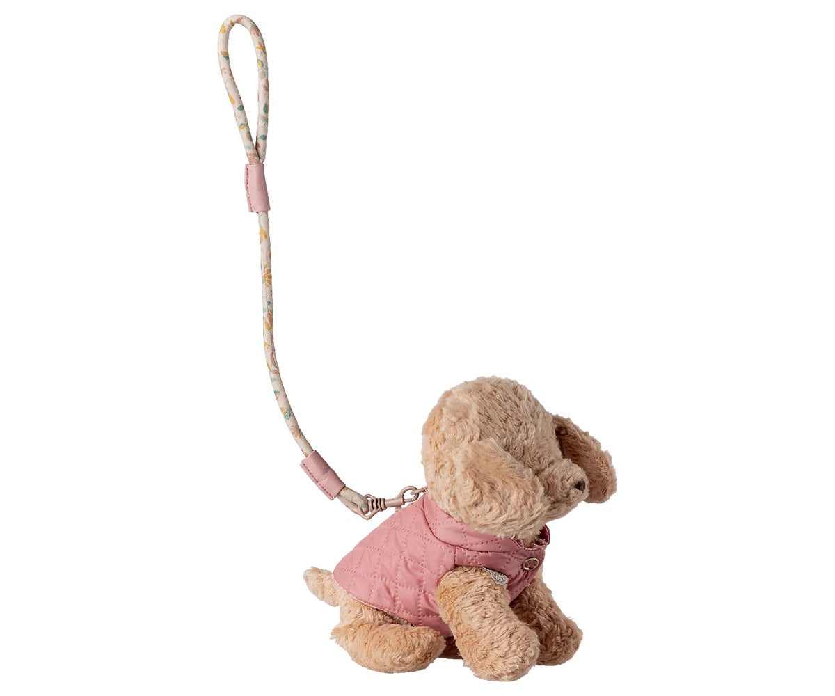Pet Supply Harness and Leash | Rose
