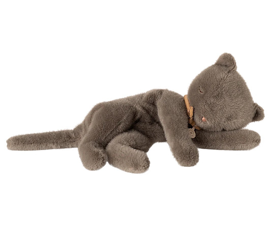Grey Sleeping Kitten | Medium