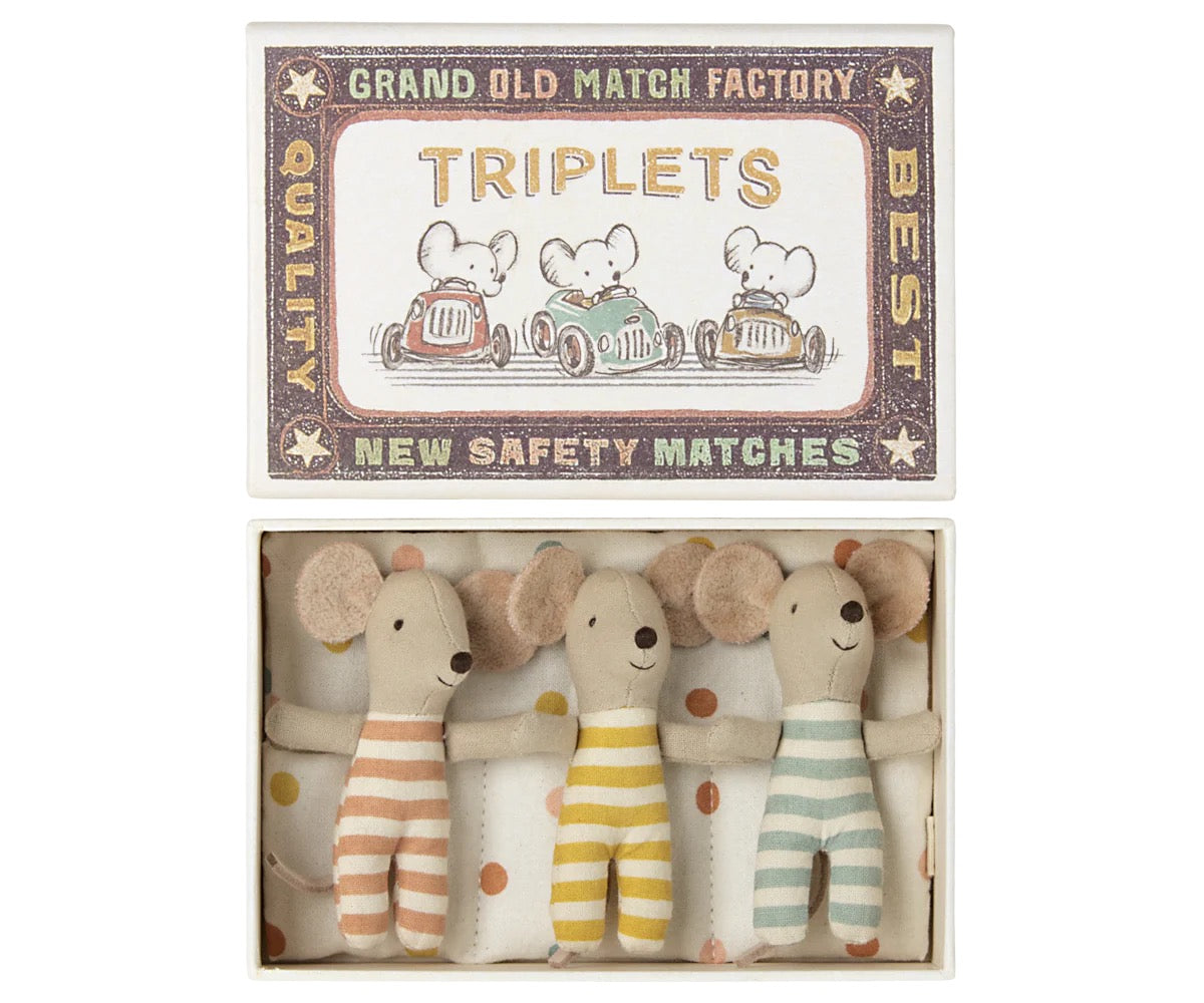 Baby Mice in Matchbox | Triplets