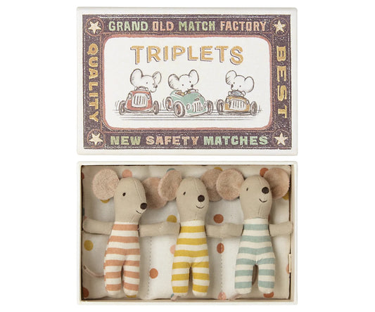 Baby Mice in Matchbox | Triplets