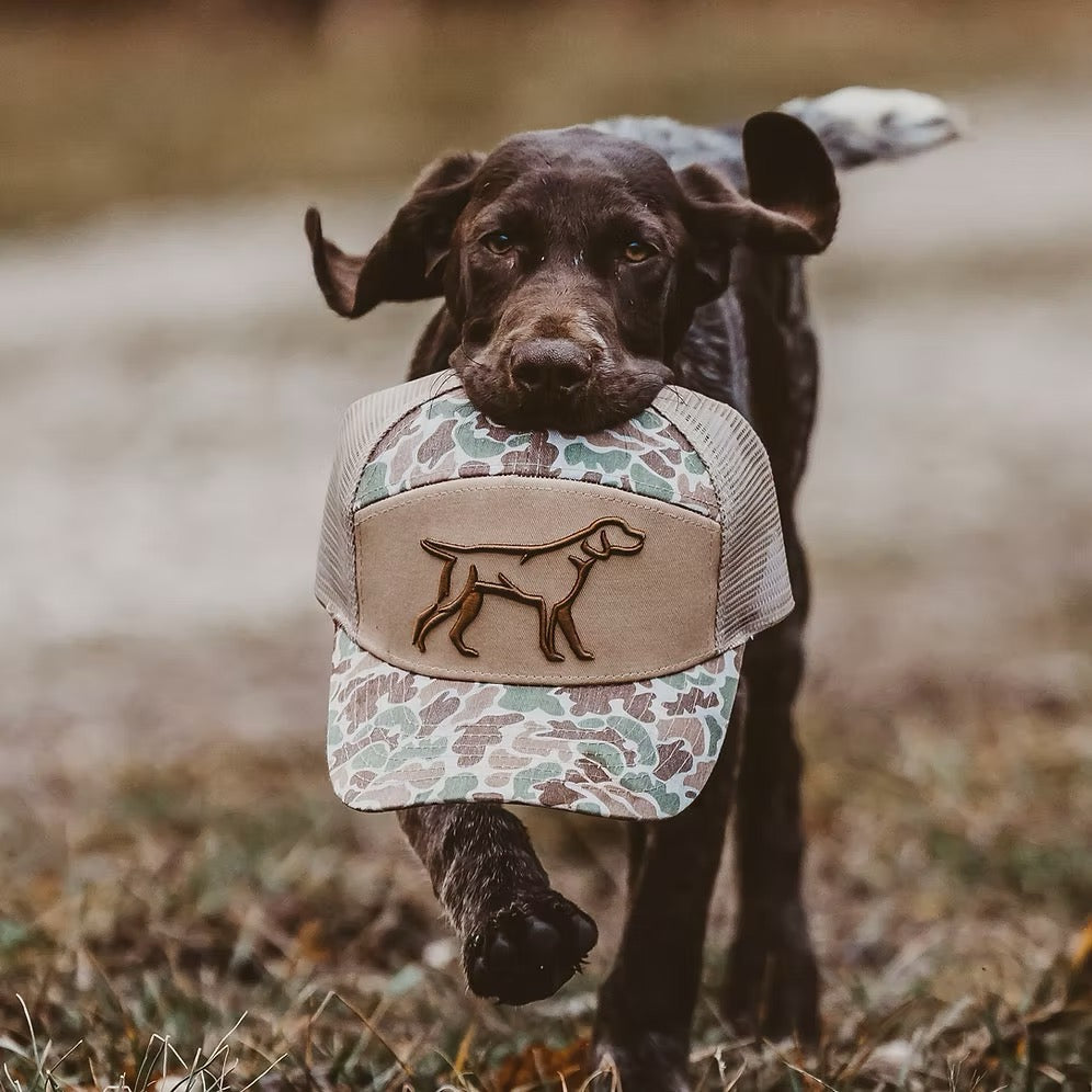 7 Panel 3D Puff Hat | Camo