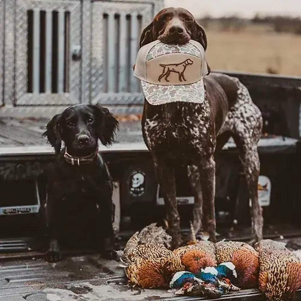 7 Panel 3D Puff Hat | Camo