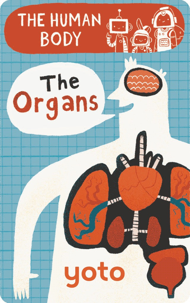 Yoto Card | BrainBots : The Human Body