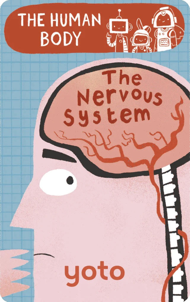 Yoto Card | BrainBots : The Human Body