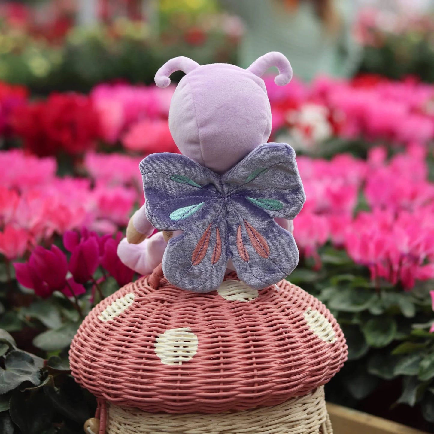 Dinky Dinkum | Betty Butterfly