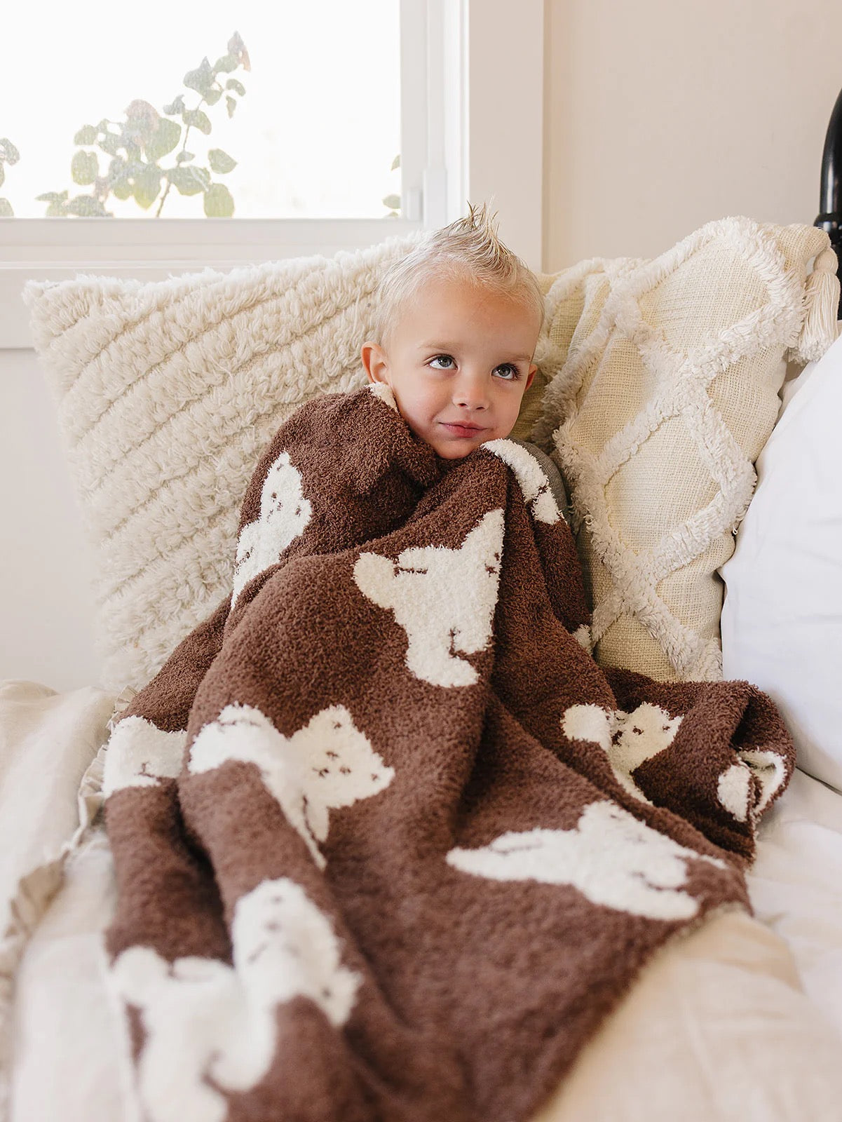 Plush Blanket | Teddy Bear