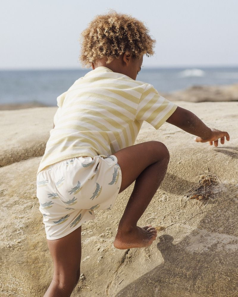 Swim Trunk | Alligators