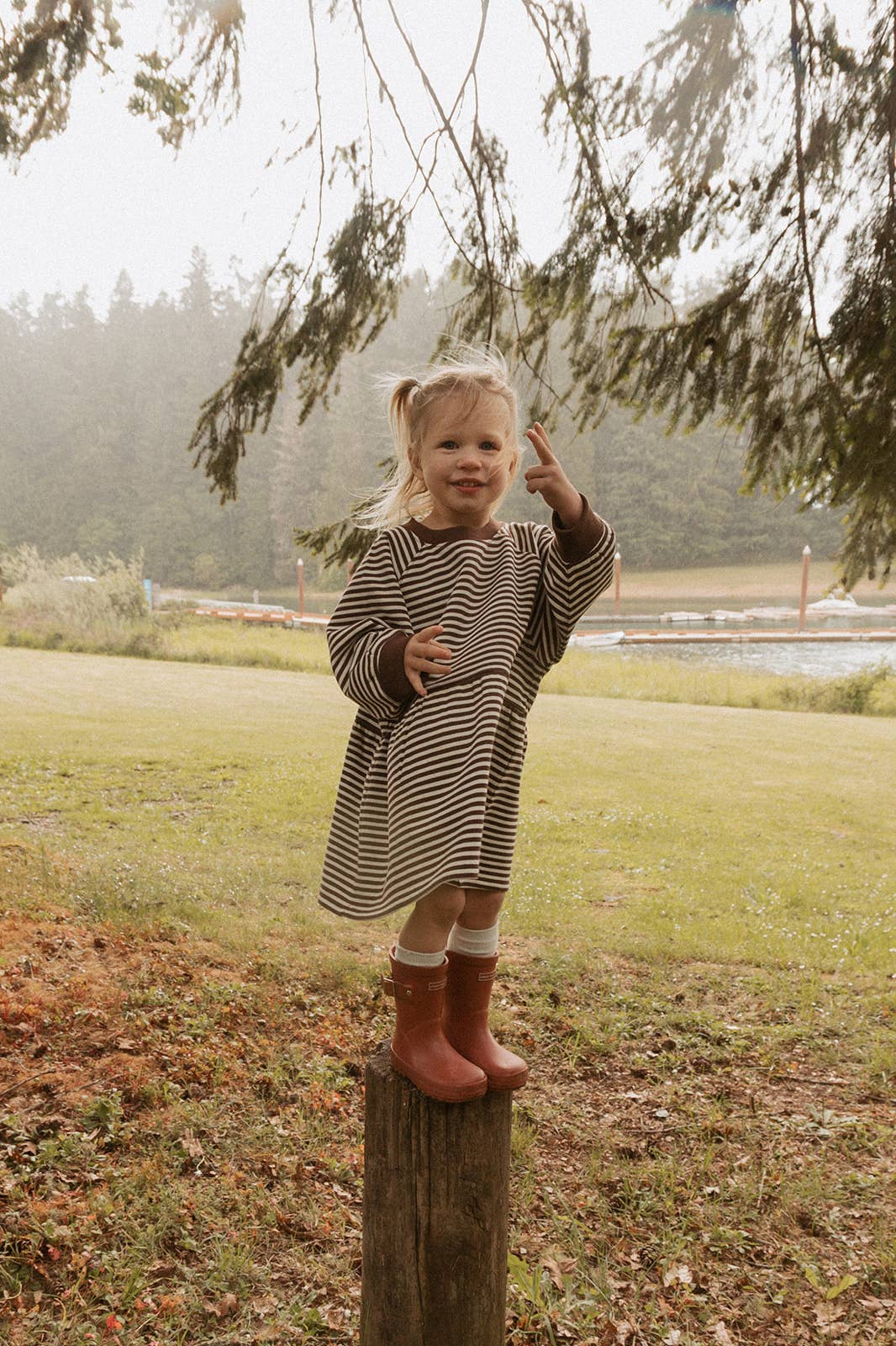 Kelsey Dress | Turtledove Chocolate Stripe