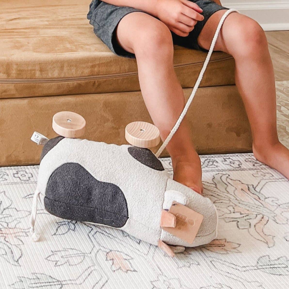 Pull-Along Toy | Willow