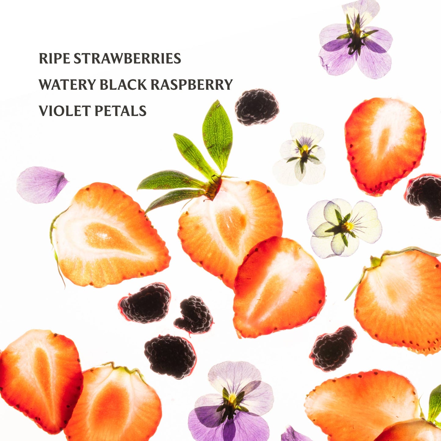 Power Mist Hydrating Hand Sanitizer | Berry Bliss