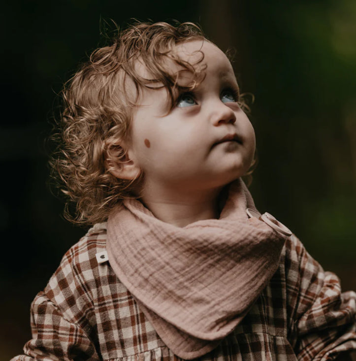 Bandana Bib | Blush